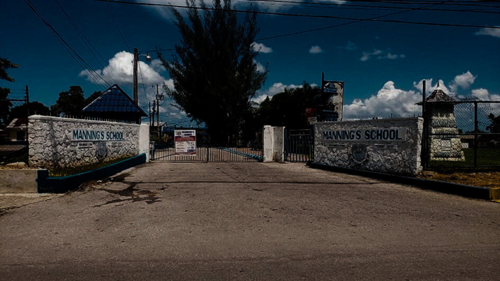 Mario McKenzie - Healing the father wound and building an entrepreneurial foundation.